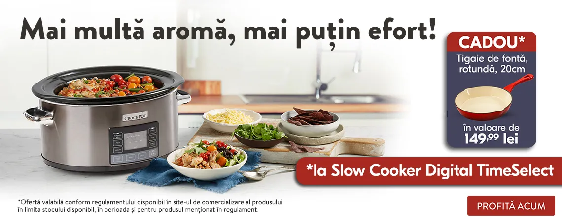 Campanie Crock-Pot slow cookere