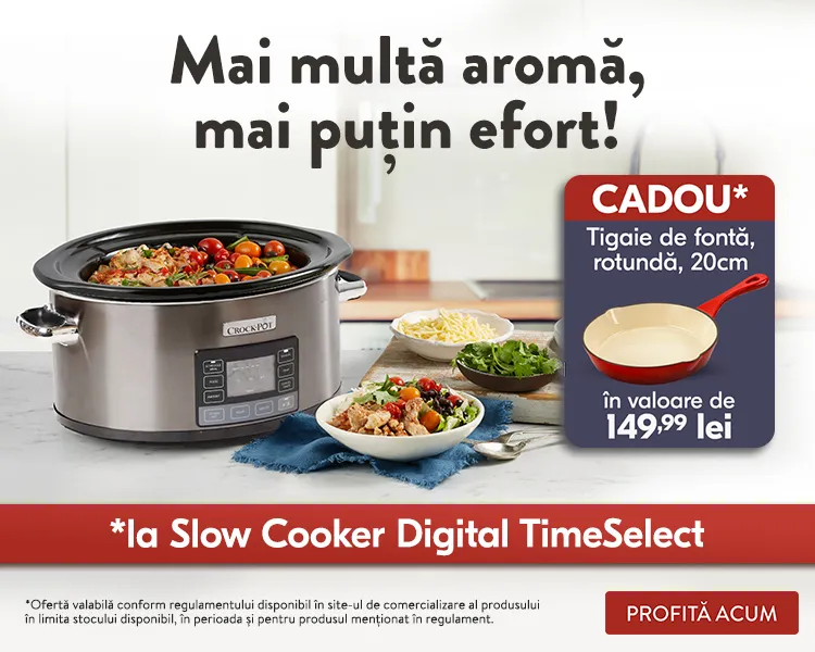 Campanie Crock-Pot slow cookere