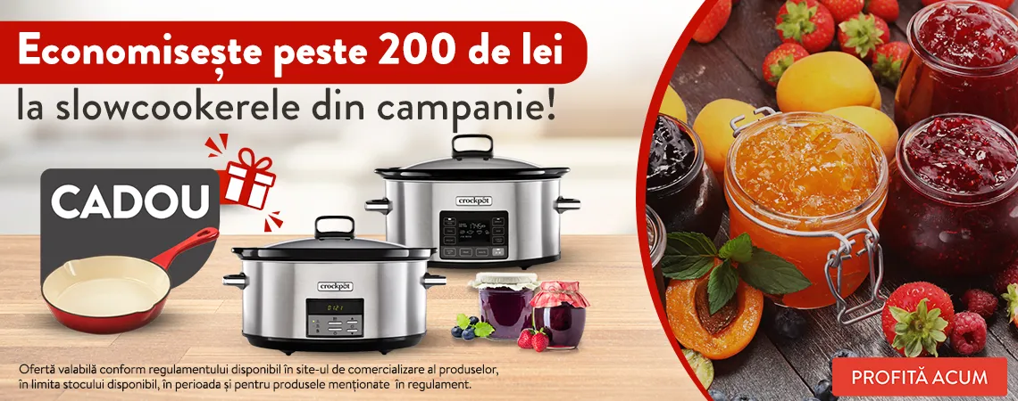 Campanie Crock-Pot slow cookere