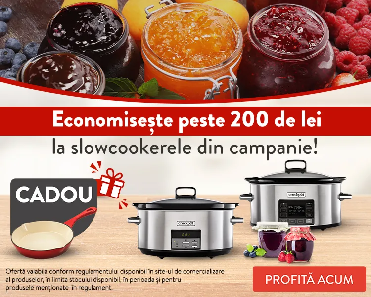 Campanie Crock-Pot slow cookere