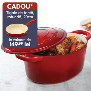 vas de fonta oval rosu cu mancare