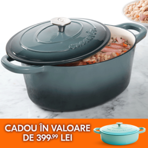 vas de fonta oval gri cu mancare