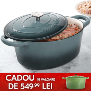 vas de fonta oval gri cu mancare