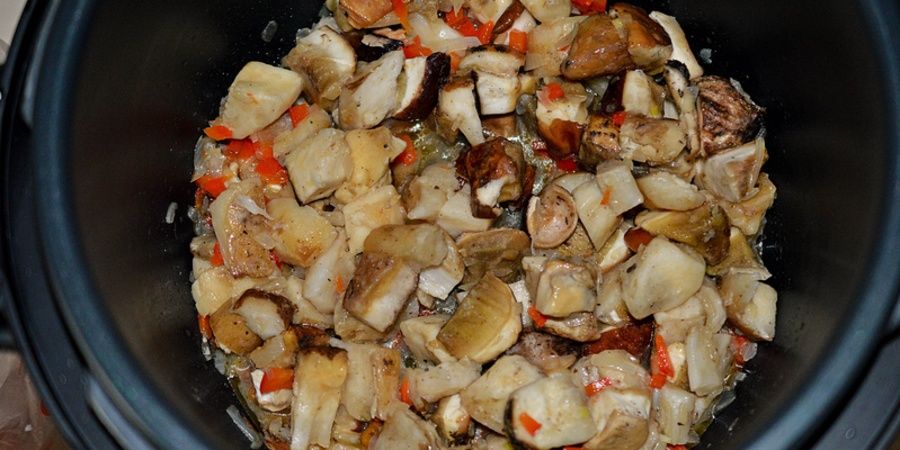 Rețetă ruladă de curcan cu tocăniță de hribi by Dulciuri fel de fel